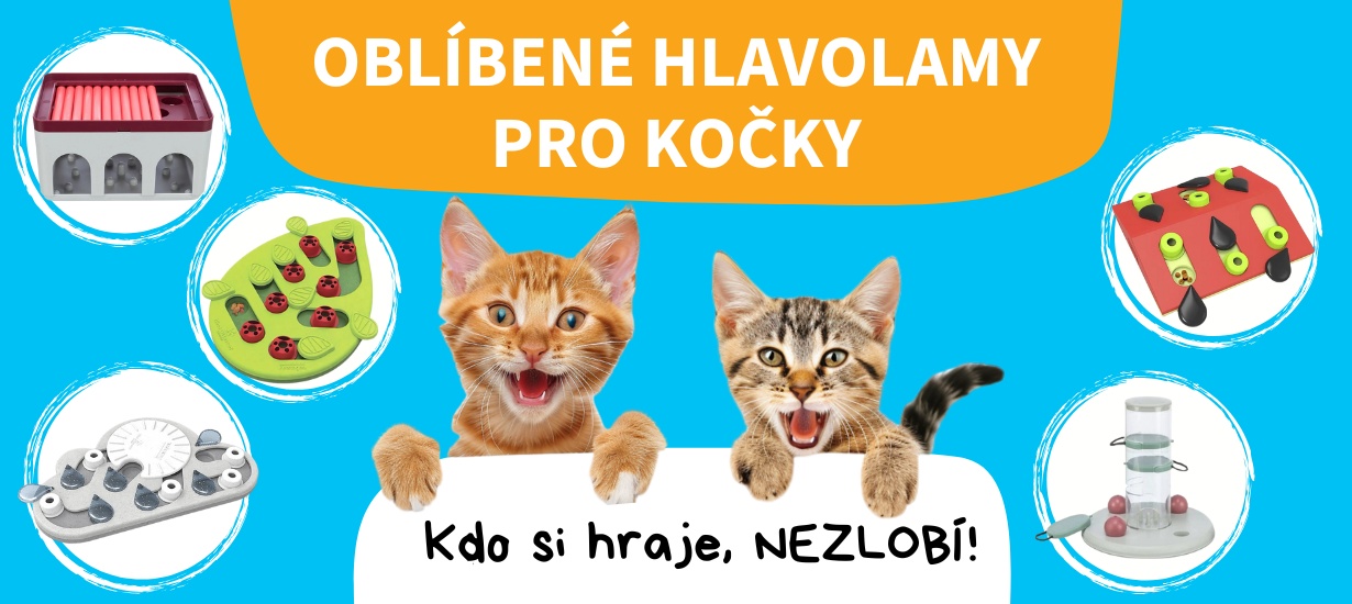 kocky_hlavolamy